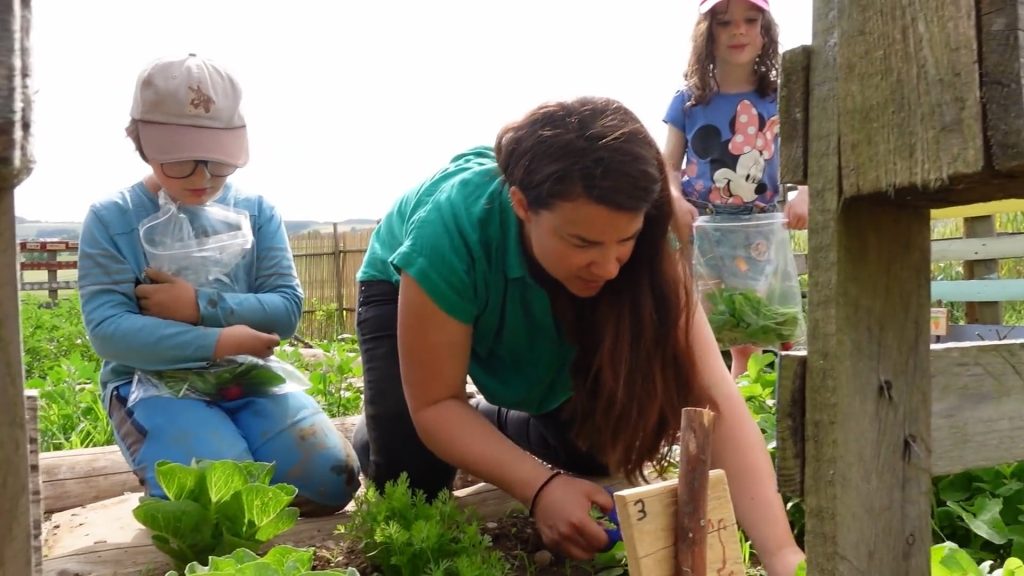 D1 – Am Schoulgaart zu Wëntger