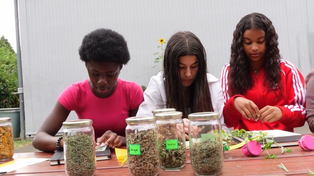 D5 – De Schoulgaart am BLL