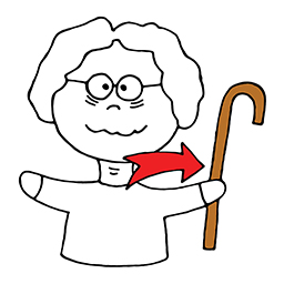 Walking stick