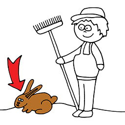 Bunny