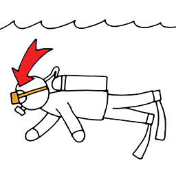 Diving goggles