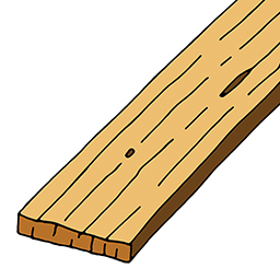 Plank