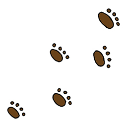 Animal track