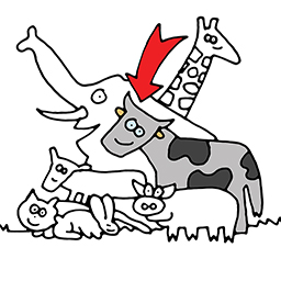 Cattle
