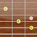Guitar Fretboard