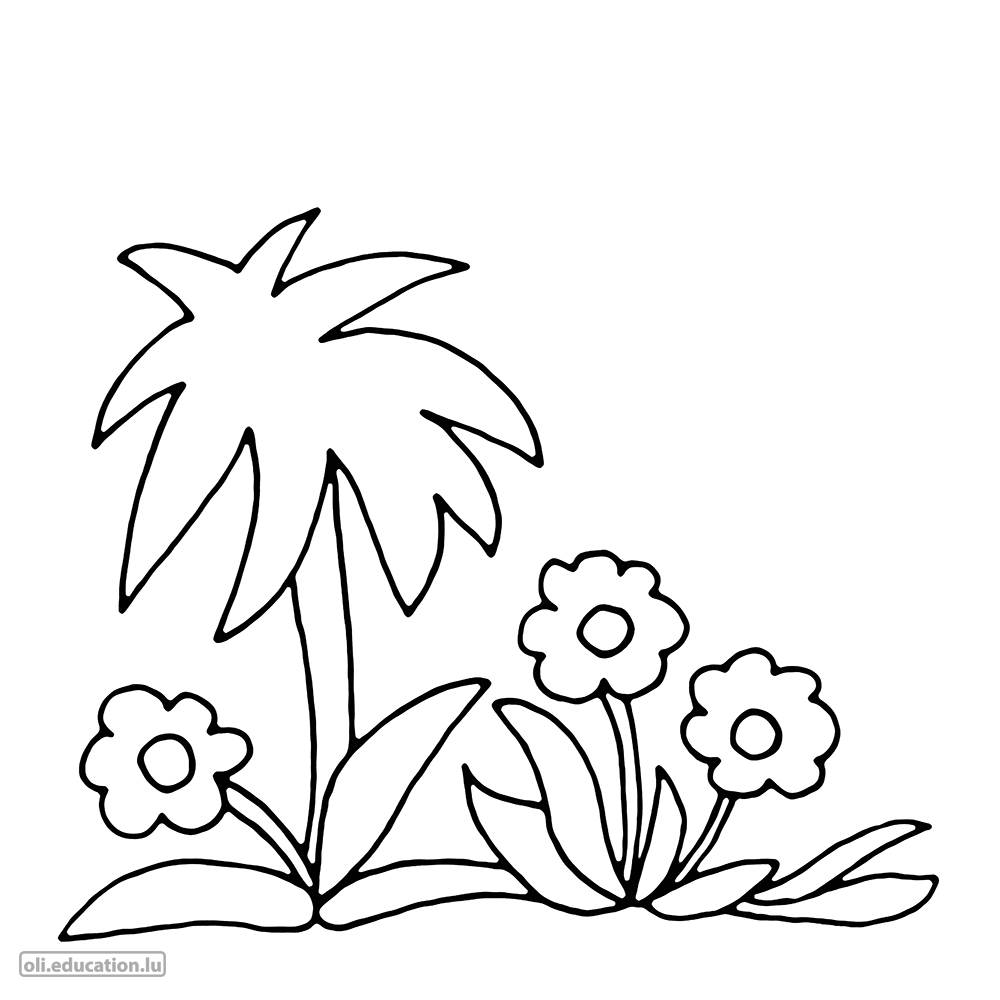 Coloring picture: Plants